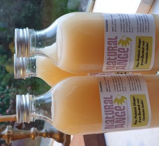 Burdock Vinegar - Prebiotic tonic 